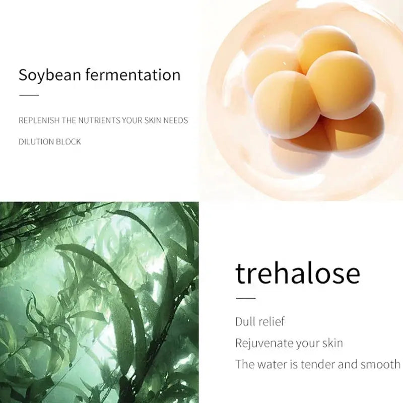 Private Label Carnosine Skin Care Anti-Aging Skincare Routine Korean Red Ginseng Essential Nourishing Facial Care