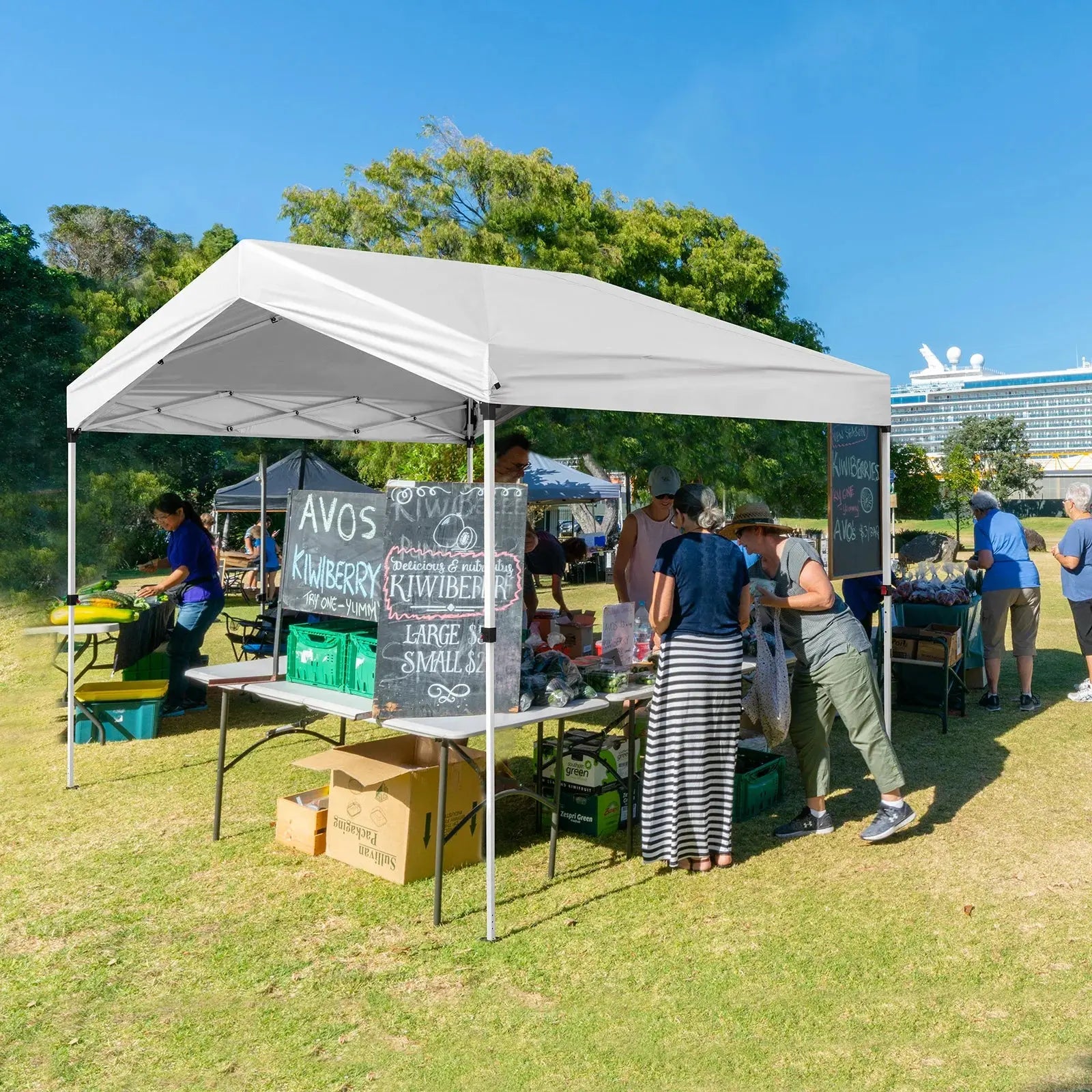 10X10ft   Outdoor Canopy Pop-up Gazebo White Avivanastore